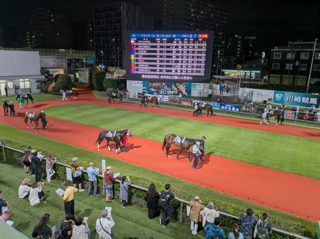 夜の川崎競馬場パドック